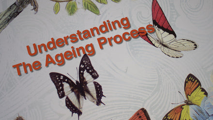 Understanding the Ageing Process